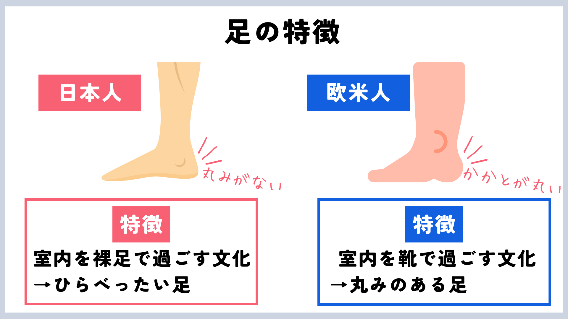足の特徴