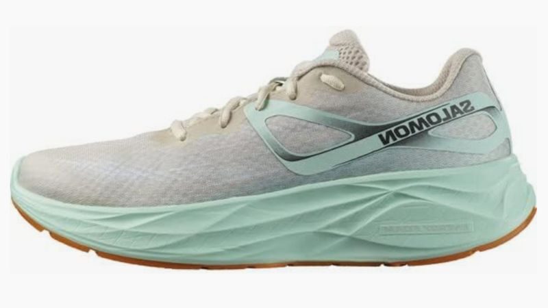 SALOMON(サロモン) AERO GLIDE BLEACHED