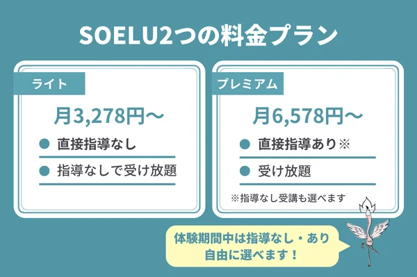 SOELU(ソエル)のライトプランの料金