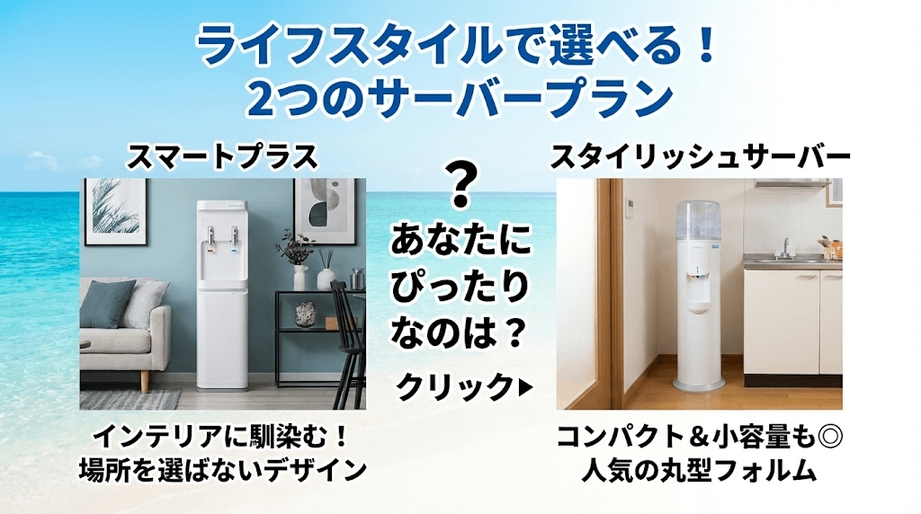 各種プランの紹介