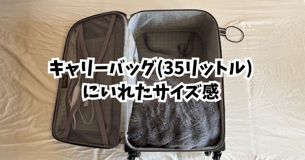 キャリーバック35リットルにいれたサイズ感