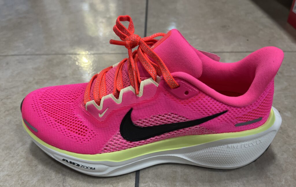 ナイキペガサス41