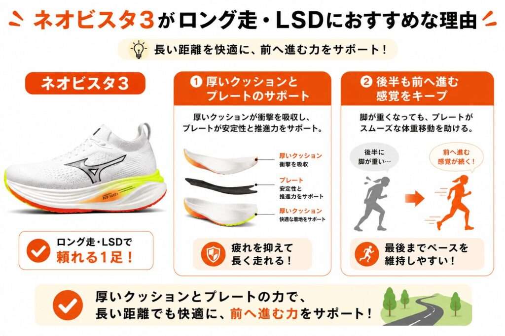 ネオビスタ3がロング走・LSDにおすすめな理由